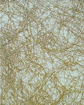 Grand Entanglement