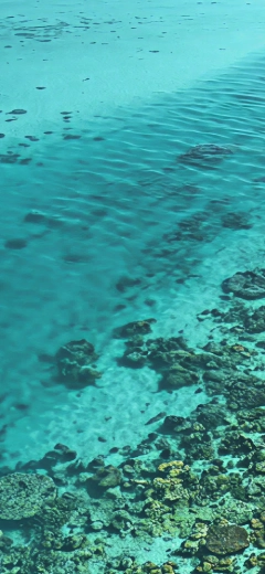 Reef & Lagoon Reef & Lagoon