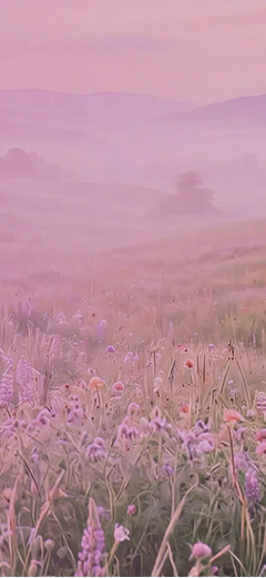 Soft Pastels Soft Pastels