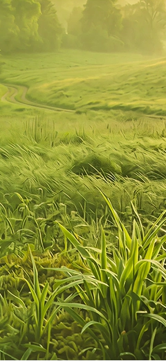 Sunlit Meadow Sunlit Meadow