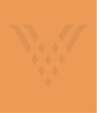 Vistiq Placeholder Testimonial